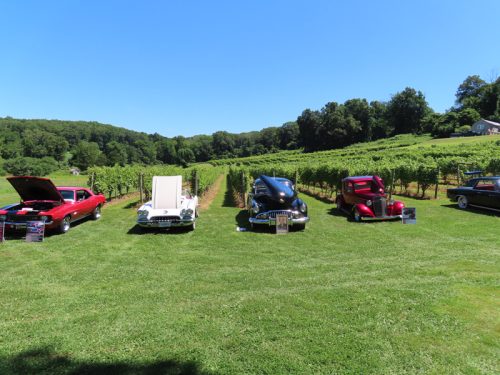 hillyland 2025 jul 19 172