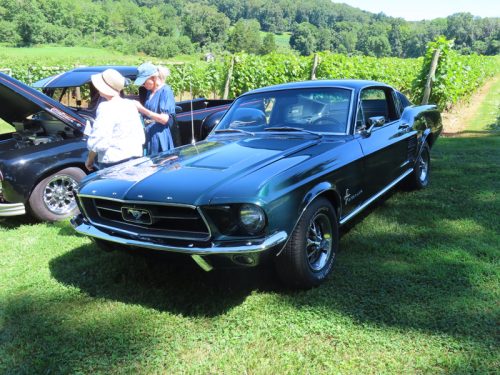 hillyland 2025 jul 19 175