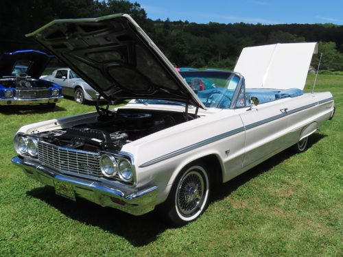 hillyland 2025 jul 19 183