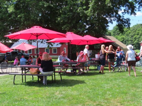 hillyland 2025 jul 19 184