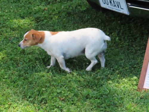 hillyland 2025 jul 19 191