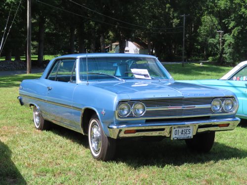 hillyland 2025 jul 19 193