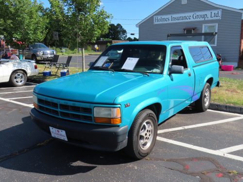 mustang 2025 jul 19 159