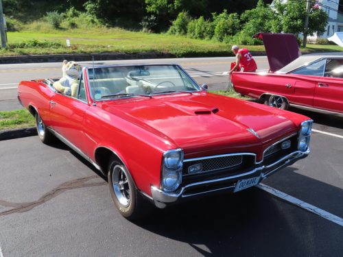 mustang 2025 jul 19 162