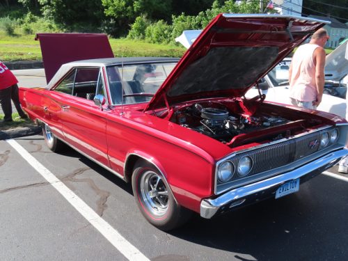 mustang 2025 jul 19 163