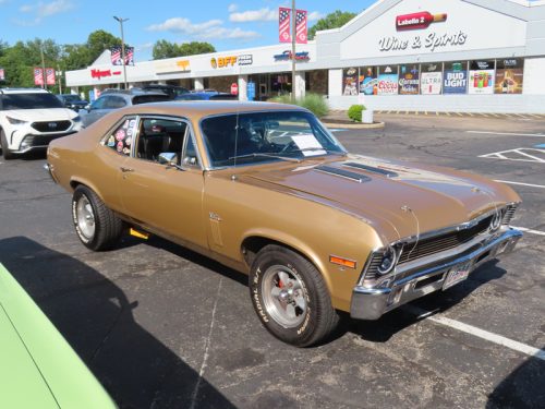 mustang 2025 jul 19 164