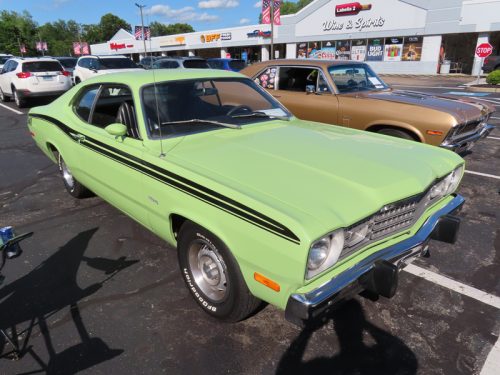 mustang 2025 jul 19 165