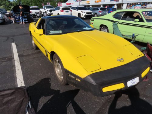 mustang 2025 jul 19 166