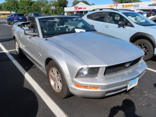 mustang 2025 jul 19 171