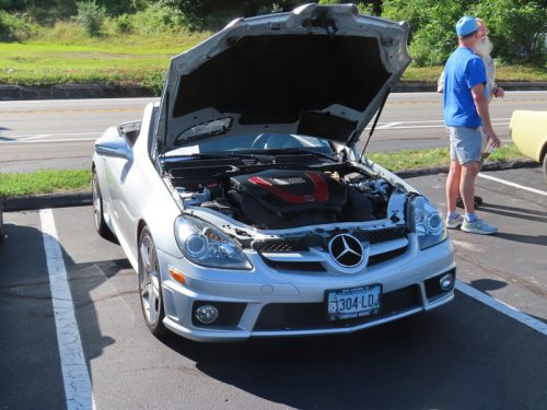 mustang 2025 jul 19 173