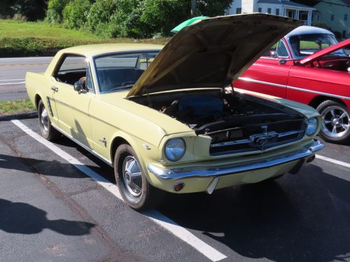 mustang 2025 jul 19 174