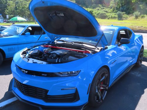 mustang 2025 jul 19 179