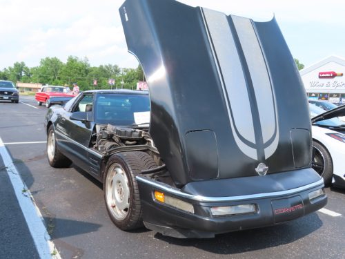 mustang 2025 jun 21 169