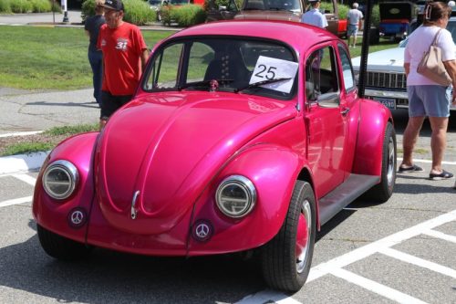 IMG 4979