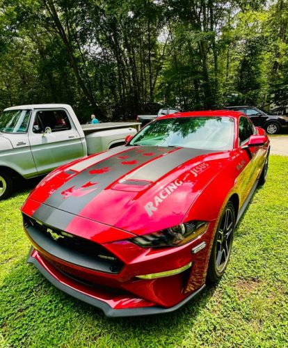 Dream-Machine-Classics-Car-Club-Annual-picnic-11-080126