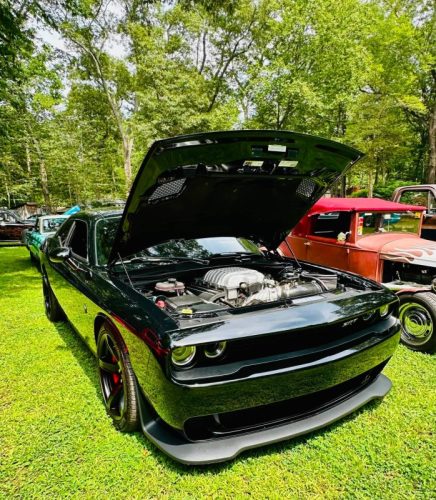 Dream-Machine-Classics-Car-Club-Annual-picnic-15-080126