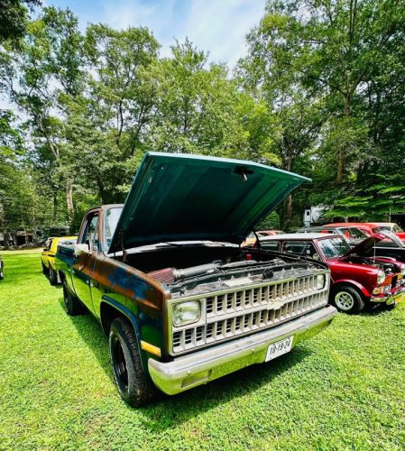 Dream-Machine-Classics-Car-Club-Annual-picnic-17-080126