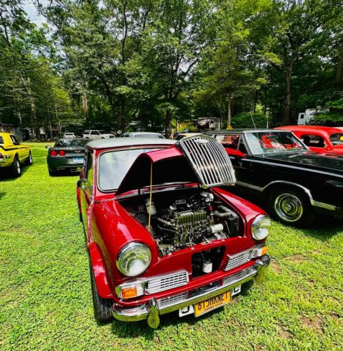 Dream-Machine-Classics-Car-Club-Annual-picnic-18-080126