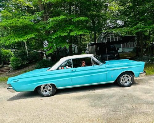 Dream-Machine-Classics-Car-Club-Annual-picnic-20-080126