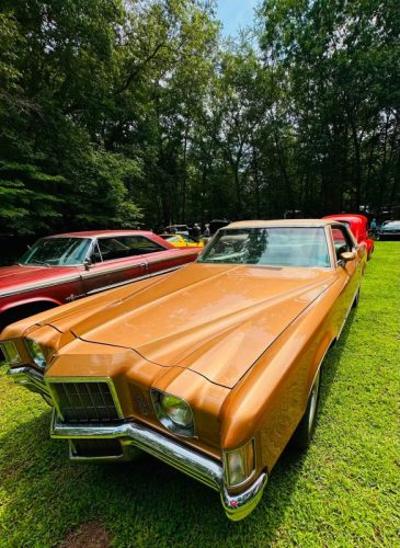 Dream-Machine-Classics-Car-Club-Annual-picnic-25-080126