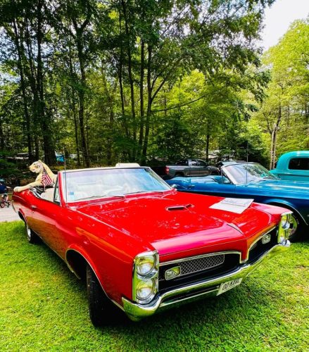 Dream-Machine-Classics-Car-Club-Annual-picnic-33-080126