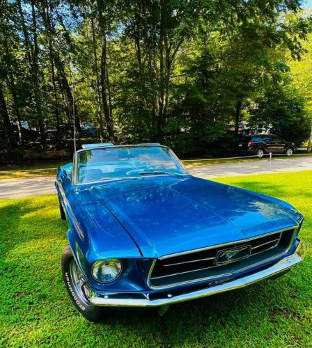 Dream-Machine-Classics-Car-Club-Annual-picnic-37-080126