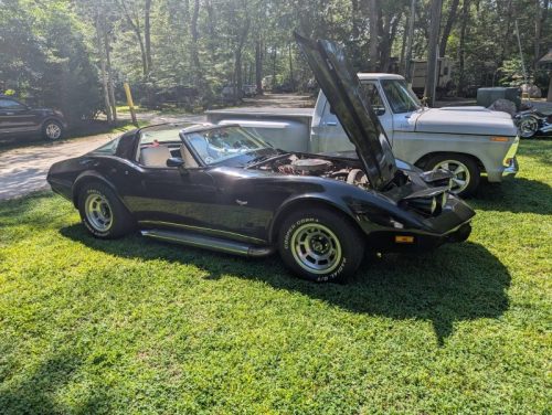 Dream-Machine-Classics-Car-Club-Annual-picnic-41-080126
