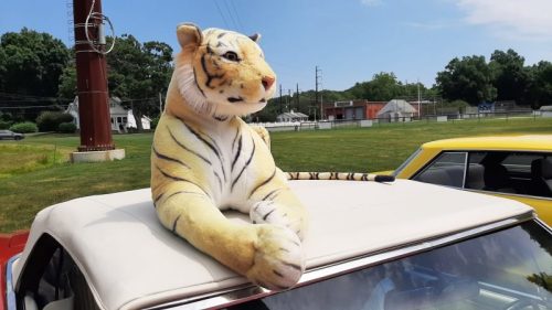 Preston-VFW-First-Annual-Car-Show-28-071126